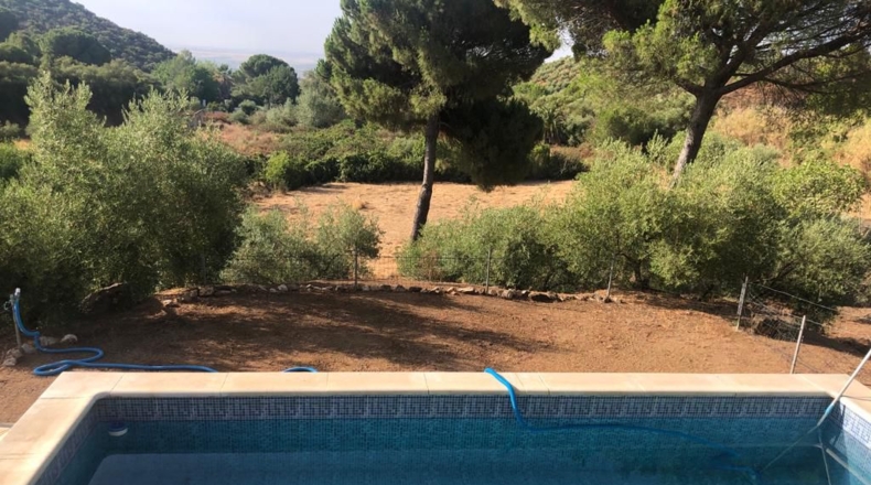 Sevilla - Lora del Río - 25902m2