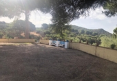 Xalet independent amb terreny en venda a Lora del Río ref.: TR56557 foto