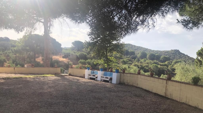Sevilla - Lora del Río - 25902m2