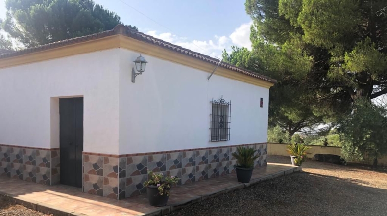 Sevilla - Lora del Río - 25902m2