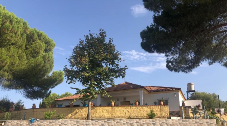 Sevilla - Lora del Río - 25902m2