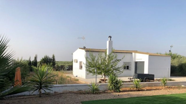 Sevilla - Lora del Río - 2500m2