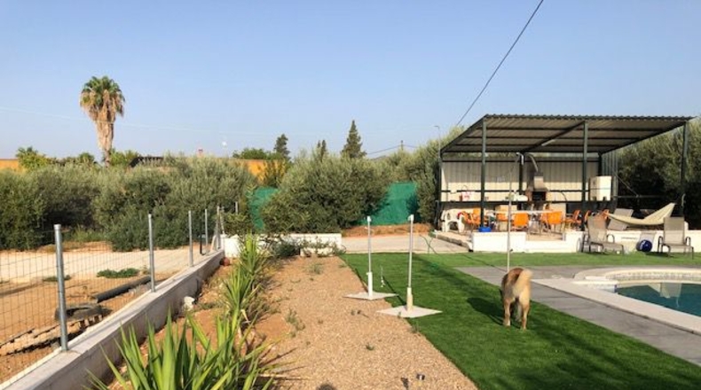 Sevilla - Lora del Río - 2500m2