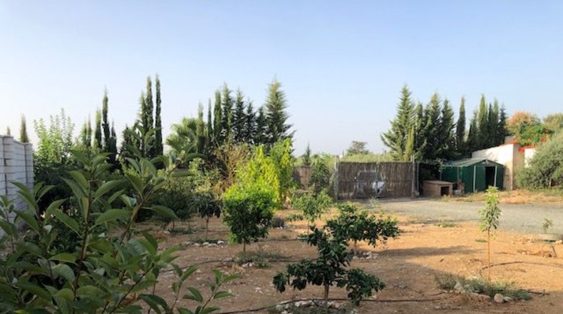 Sevilla - Lora del Río - 2500m2