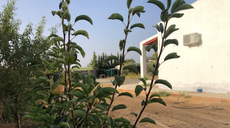 Sevilla - Lora del Río - 2500m2