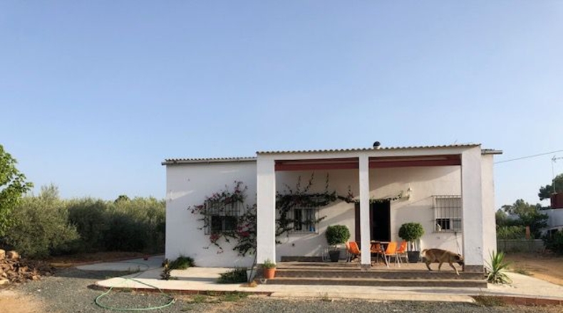 Sevilla - Lora del Río - 2500m2