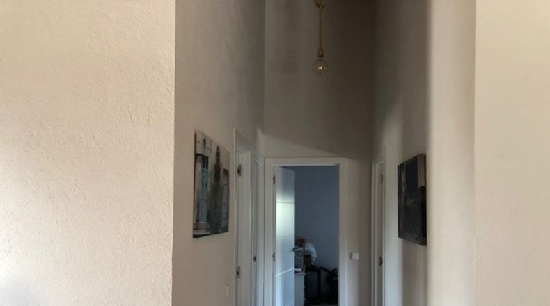 Sevilla - Lora del Río - 2500m2