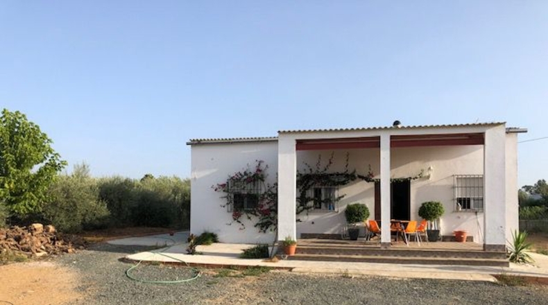 Sevilla - Lora del Río - 2500m2