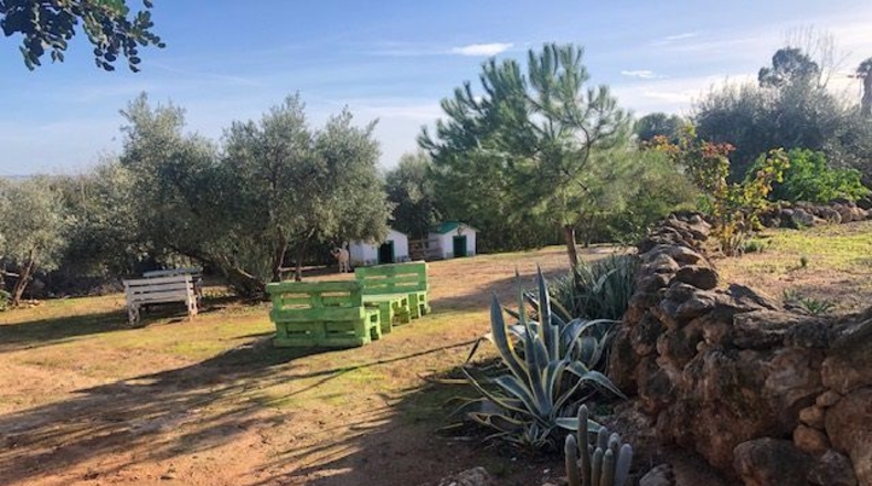 Sevilla - Lora del Río - 2600m2