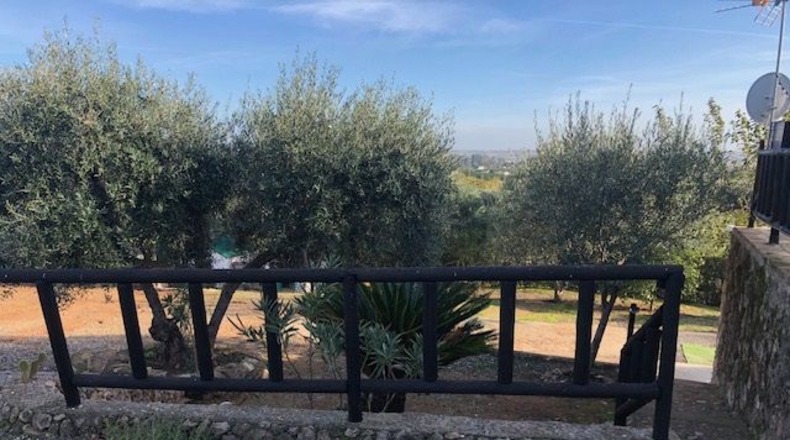 Sevilla - Lora del Río - 2600m2
