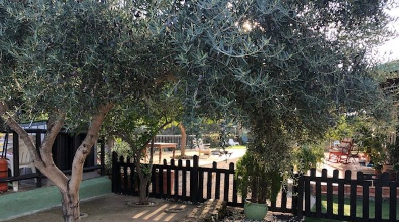 Sevilla - Lora del Río - 2600m2