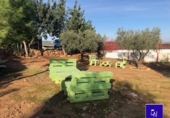 Отдельно стоящий дом с участком на продажу в городе Лора-дель-Рио. Фото