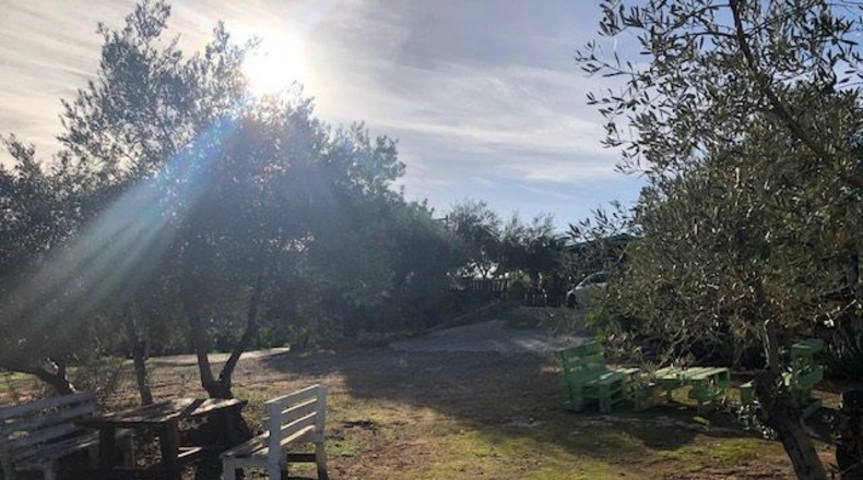 Sevilla - Lora del Río - 2600m2