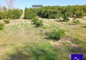 Rural estate for sale in Lora del Río ref: TR209594 photo