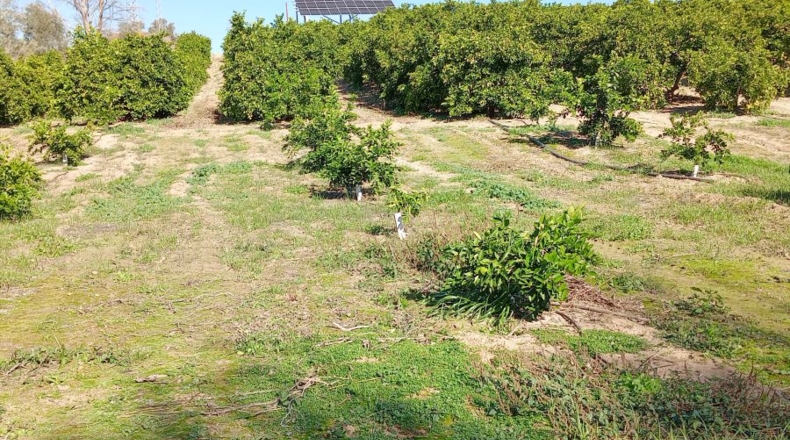Sevilla - Lora del Río - 47m2