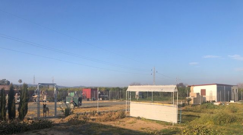 Sevilla - Lora del Río - 2500m2