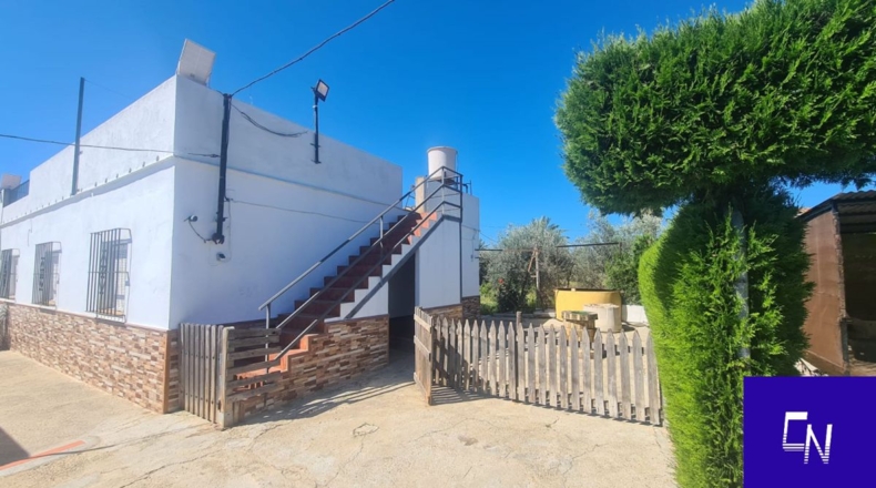 Sevilla - Lora del Río - 1113m2