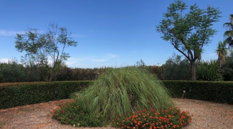 Seville - Lora del Río - 2254m2