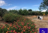 Xalet independent amb terreny en venda a Lora del Río ref.: TR187668 foto