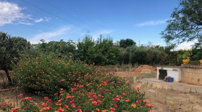Seville - Lora del Río - 2254m2