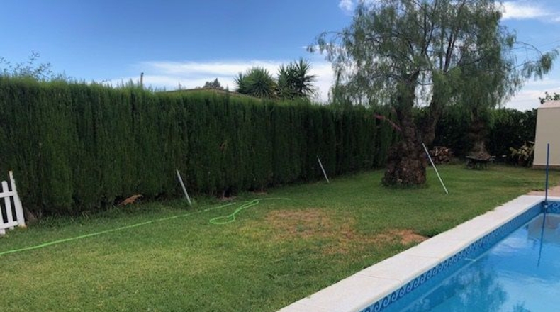 Seville - Lora del Río - 2254m2