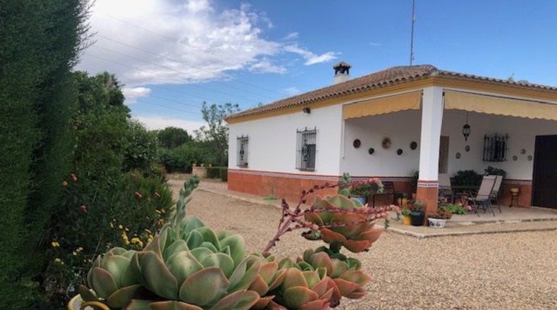 Seville - Lora del Río - 2254m2