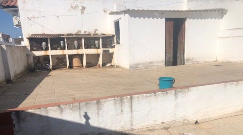Sevilla - Lora del Río - 237m2