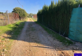 Alcolea del Río 2475&nbsp;m² 