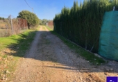 Non-developable land for sale in Alcolea del Río ref: TR181227 photo