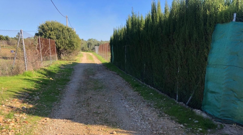 Seville - Alcolea del Río - 2475m2