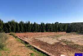 Alcolea del Río 2475&nbsp;m² 