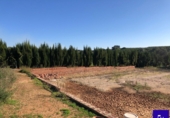 Non-developable land for sale in Alcolea del Río ref: TR181227 photo