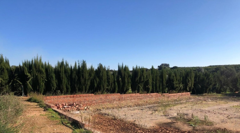 Seville - Alcolea del Río - 2475m2