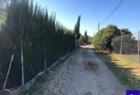 Alcolea del Río 2475&nbsp;m² 