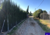 Non-developable land for sale in Alcolea del Río ref: TR181227 photo