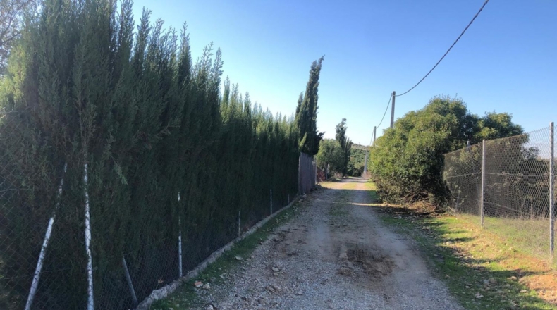 Seville - Alcolea del Río - 2475m2