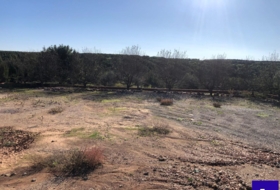 Alcolea del Río 2475&nbsp;m² 