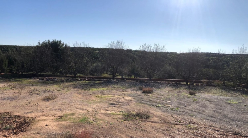 Seville - Alcolea del Río - 2475m2