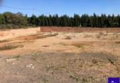 Non-developable land for sale in Alcolea del Río ref: TR181227 photo
