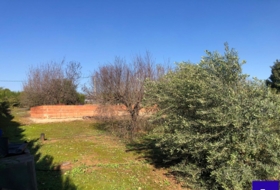 Alcolea del Río 2475&nbsp;m² 