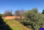 Non-developable land for sale in Alcolea del Río ref: TR181227 photo