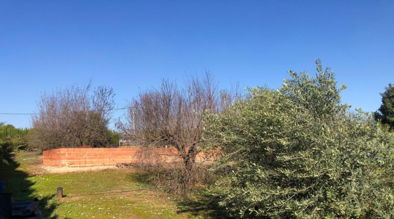 Seville - Alcolea del Río - 2475m2