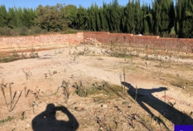 Alcolea del Río 2475&nbsp;m² 