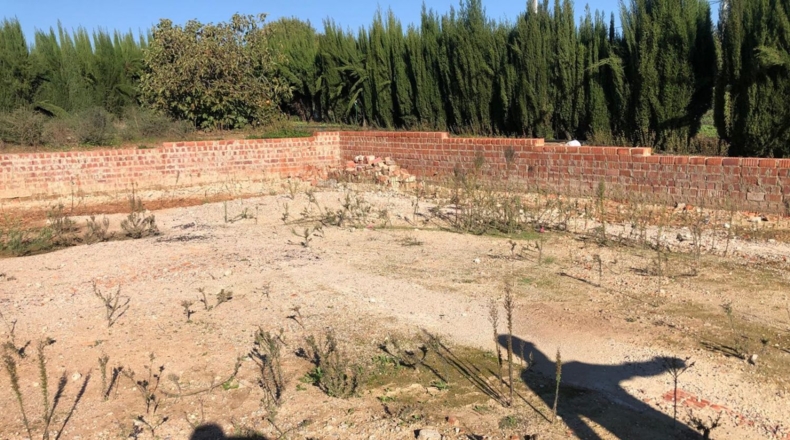 Seville - Alcolea del Río - 2475m2
