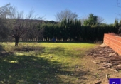 Non-developable land for sale in Alcolea del Río ref: TR181227 photo
