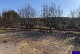 Alcolea del Río 2475&nbsp;m² 