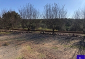 Non-developable land for sale in Alcolea del Río ref: TR181227 photo