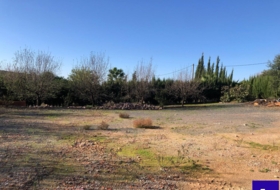 Alcolea del Río 2475&nbsp;m² 