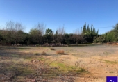 Non-developable land for sale in Alcolea del Río ref: TR181227 photo