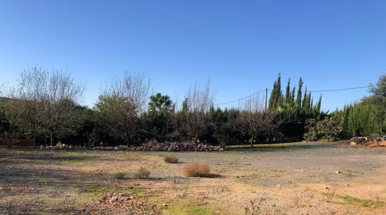 Seville - Alcolea del Río - 2475m2